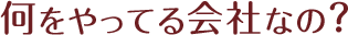 何をやってる会社なの？